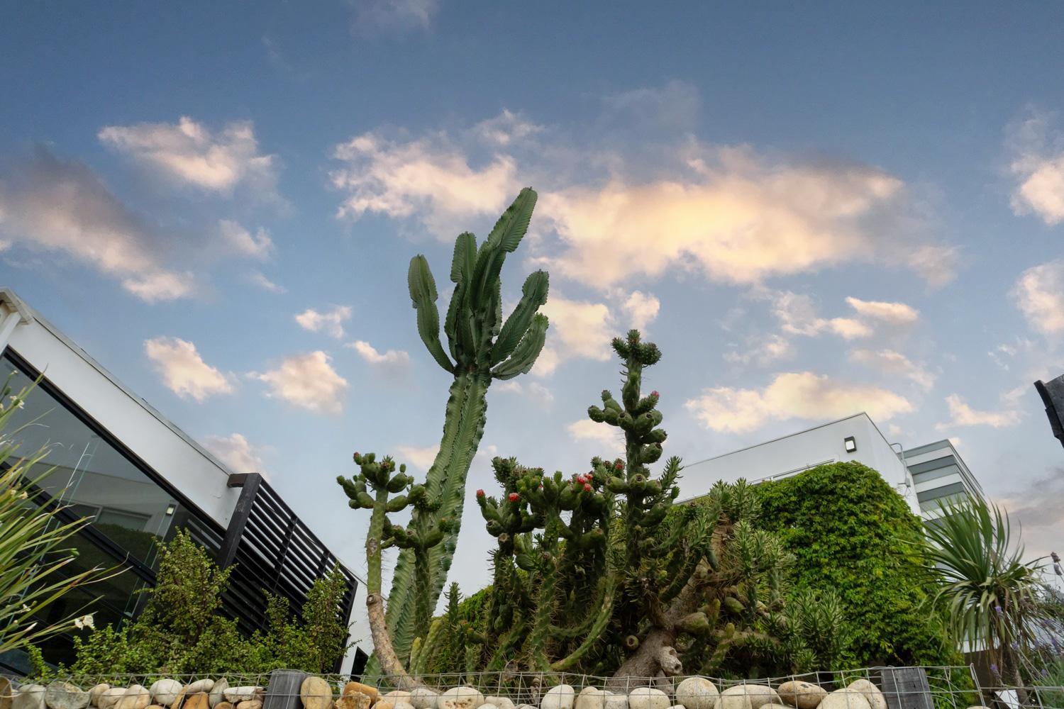 La Cima Del Valle บาเย เด กัวลาลูเป ภายนอก รูปภาพ